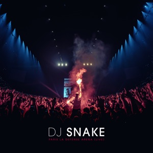 DJ SNAKE/BAD ROYALE — Ocho Cinco
