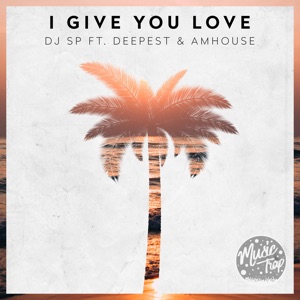 DJ SP & Deepest & AMHouse — I Give You Love