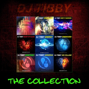 DJ Tibby — Heart of Glass (Hard Dance Mix)