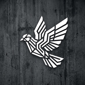 DJ ZHUKOV — Одинокий Голубь