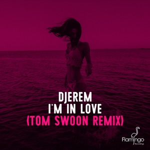 Djerem — I'm In Love (Tom Swoon Remix) - 0:00