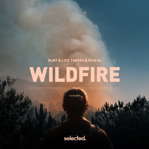 Dlmt/Luis Torres/Rico 56 — Wildfire