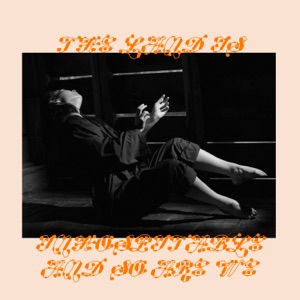 Dmitrij Koldun — Miteli