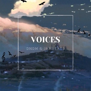 DNDM feat. JamBeats — Voices