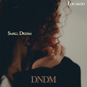 DNDM — Small Dream