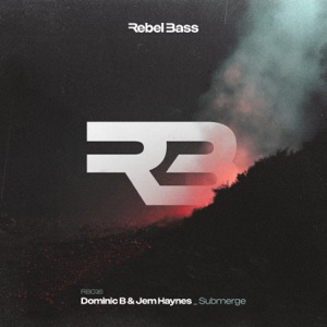 DOMINIC B/JEM HAYNES — Submerge