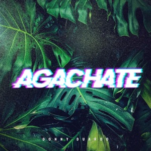Donny Duardo — Agachate