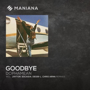 Dophamean — Goodbye (Desib L Remix)