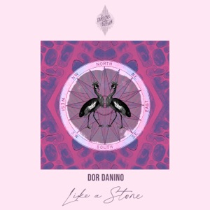Dor Danino — Like a Stone