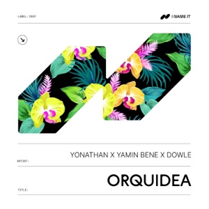 Yonathan,DOWLE,Yamin Bene — Orquidea