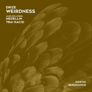 DRIZE — Weirdness (Headache Mix)