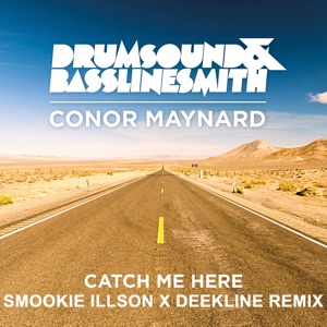 DRUMSOUND/BASSLINE SMITH — Truth