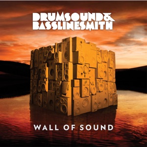 DRUMSOUND/SBS — Freak (VIP mix)