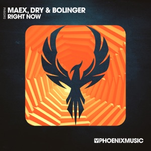 DRY & BOLINGER/MAEX — Right Now