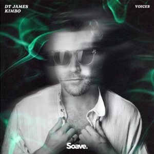 DT James feat. Kimbo — Voices
