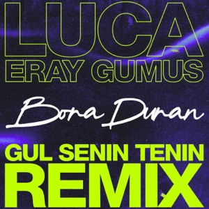 Eagles — Hotel California (Eray Gumus Remix)