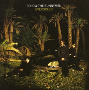 Echo & the Bunnymen — I Want To Be There (When You Come)
