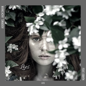 ADGRMS & Jackswan, Eighth — Lies