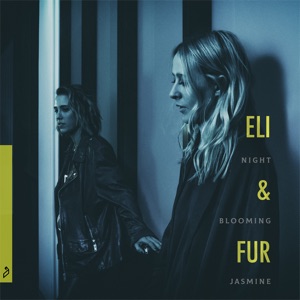 Eli Fur — Something Was Real