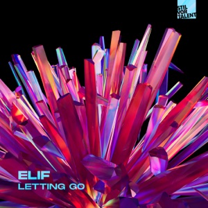 Stil & Bense, Elif (TR) — Let Go