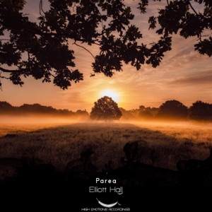 Elliott Hall — Parea (Original Mix)