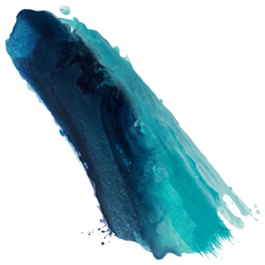 EMILY WARREN;FRENSHIP — Capsize