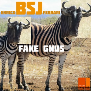 Enrico BSJ Ferrari — Fake Gnus