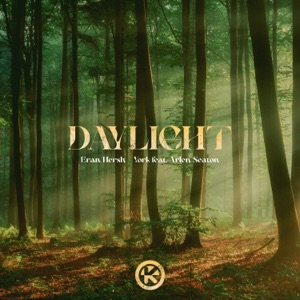 York, Eran Hersh, Arlen Seaton — Daylight (Extended Mix)