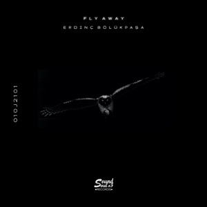 Erdinc Bolukpasa — Fly Away