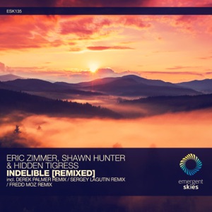 Eric Zimmer x Shawn Hunter & Hidden Tigress — Indelible (Sergey Lagutin Remix)