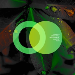 Lian Gold, Erika Krall — Nuur (Original Mix)