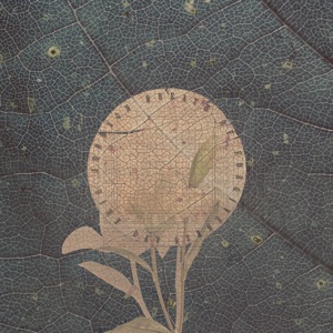 Eriq Johnson — Breath of Forgiveness