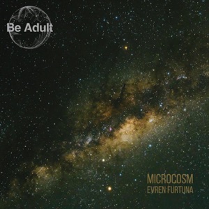 Evren Furtuna — Microcosm (Original Mix)