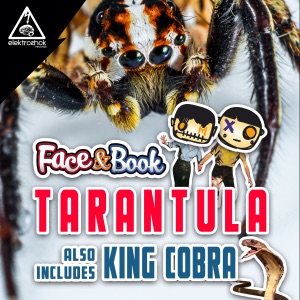 FACE & BOOK — Tarantula