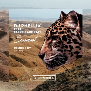 DJ Phellix, Faeze Zare Rafi — Sarmast