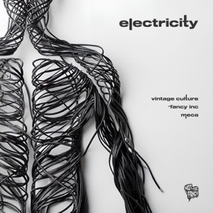 Vintage Culture, Fancy Inc, Meca — Electricity (Original Mix)