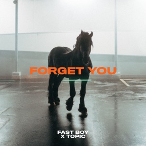 Fast Boy & Topic — Forget You