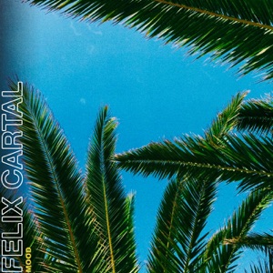 Felix Cartal — Mood (Felix Cartal's Late Night Mood Mix)