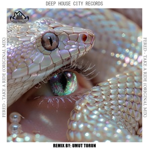 Fered — Take a Ride (Umut Torun Remix)