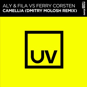 Aly & Fila, Ferry Corsten — Camellia (Dmitry Molosh Remix)