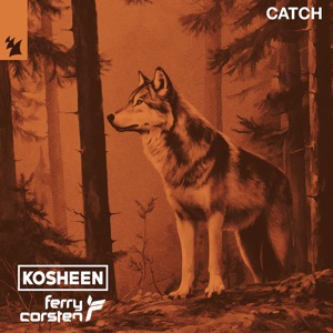 FERRY CORSTEN/KOSHEEN — Catch