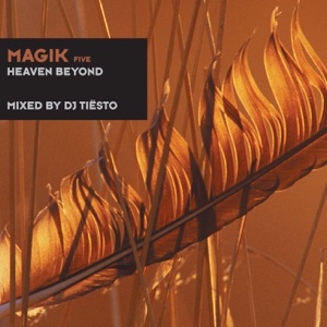 Fire & Ice — Neverending Melody (Original Mix)