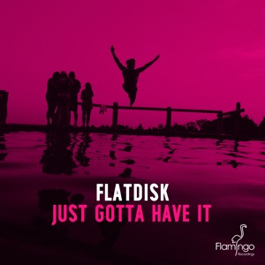 Flatdisk — Just Gotta Have It (Original Mix) - 0:00