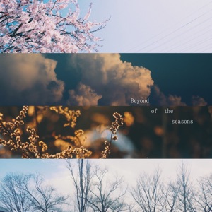 FlexDeep — Wish