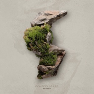 Frannz — Contigo Bailar (Extended Mix)