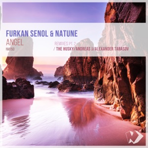 Furkan Senol feat. Natune — Angel (Alexander Tarasov Remix)