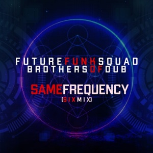 FUTURE FUNK SQUAD/BROTHERS OF DUB — Same Frequency