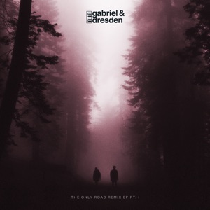 Gabriel & Dresden ft. Sub Teal — I'm Not Like Everybody Else (Farius Remix)
