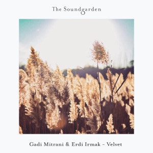 Gadi Mitrani & Erdi Irmak — Velvet