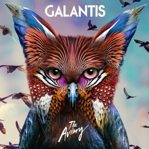 Galantis & Throttle — Tell Me You Love Me (Dropgun Remix) - 0:00